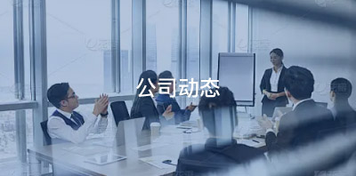 公司动态